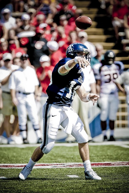 那就是路易 那就是路易