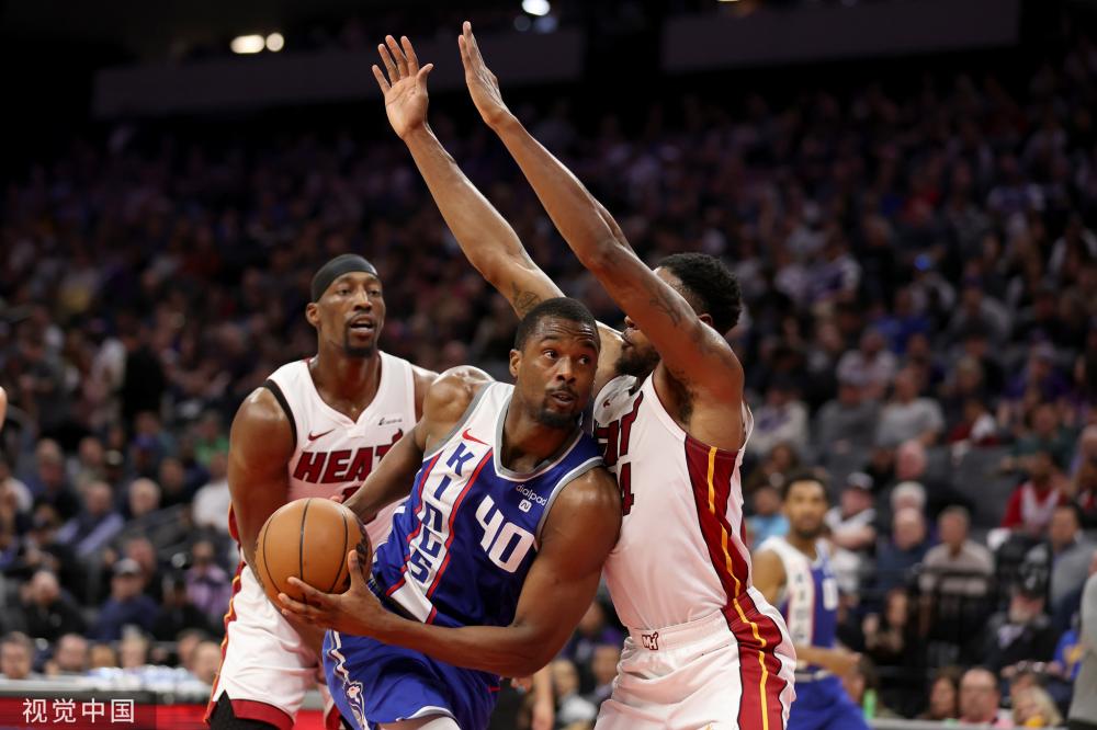 但惠灵顿凤 但惠灵顿凤