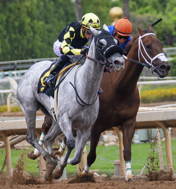 欠薪問題導 欠薪問題導